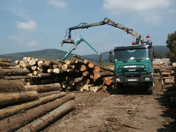 Obrázok Vykladanie dreva
