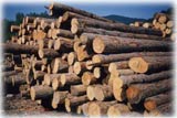 Obrázok Obchod s drevom