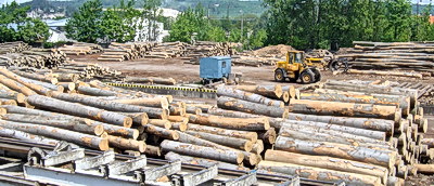 Obrázok Sklad dreva