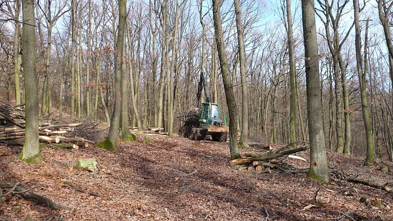 Obrázok Harvesterová technológia OZLT