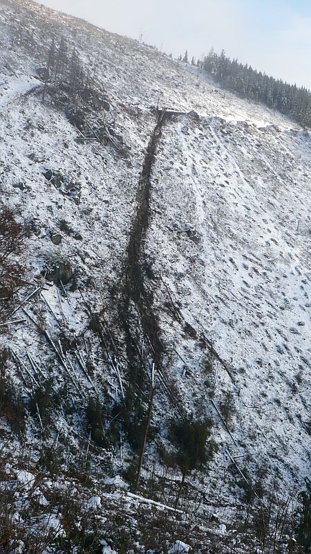 Obrázok trasa lesnej lanovky Larix 3T