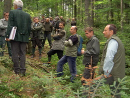 Pozorní poslucháči