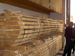 Výsledok ťažby jednotlivých stromov