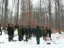 Ukážka obnovy bučín