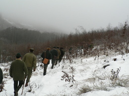 Presun medzi ukážkami
