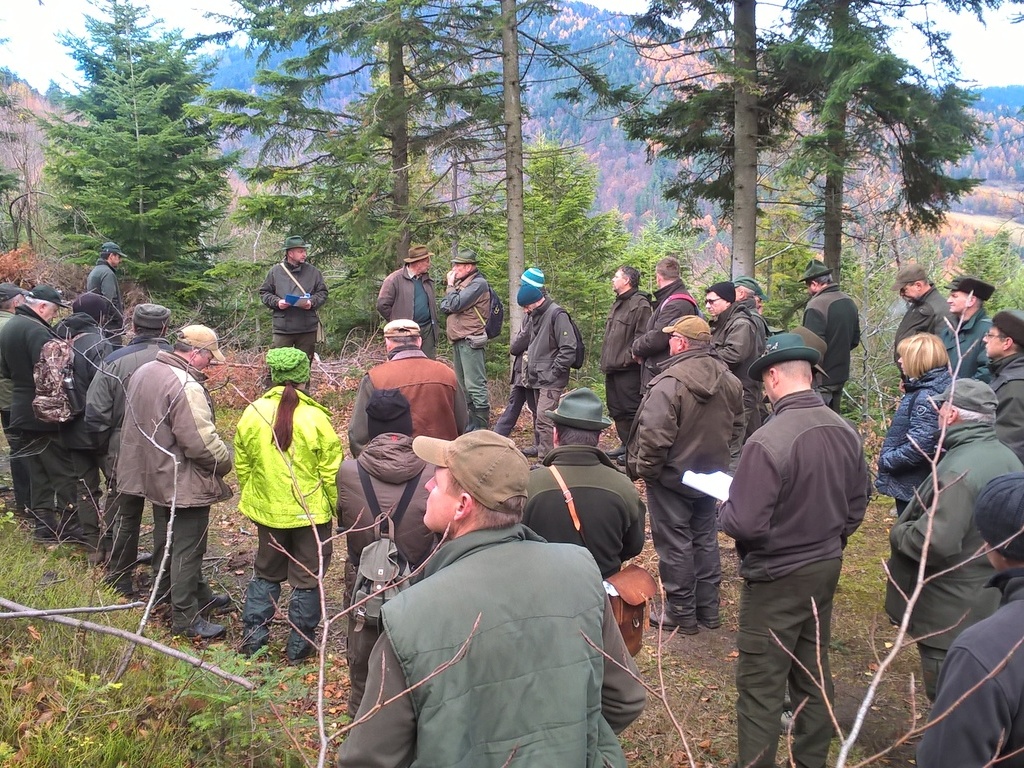 wp 20171114 10 57 04 pro | WebJET CMS