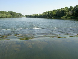Naučný chodník Dunajske Luhy