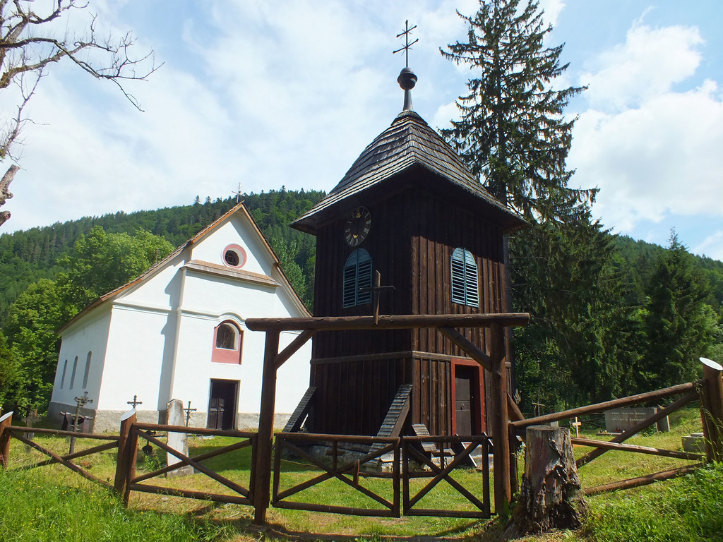 LESNÍCKY CINTORÍN NA ČIERNOM VÁHU Obrázok LESNÍCKY CINTORÍN NA ČIERNOM VÁHU