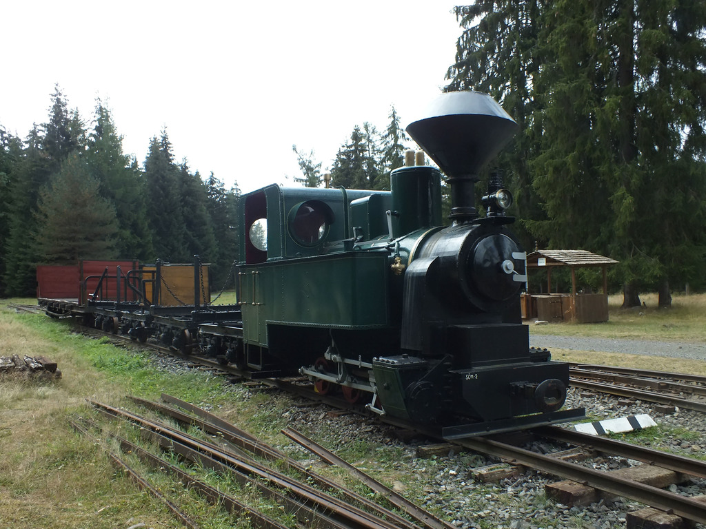 Obrázok Považská Lesná železnica