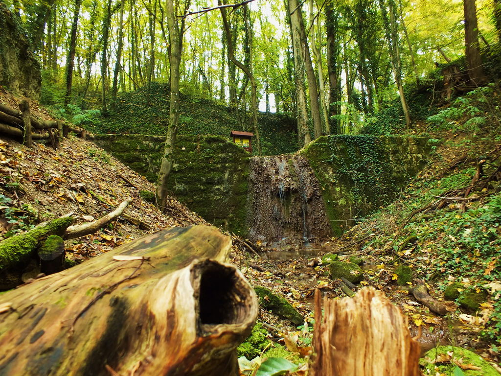 Haluzická tiesňava Obrázok Haluzická tiesňava