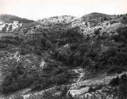 rok 1907