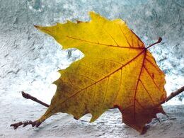 Barbora Civínová - List (stredné školy)