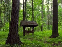 David Civín - Čistinka (základné školy)