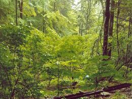 Michaela Hlaváčová - Slovenská džungľa (základné školy)