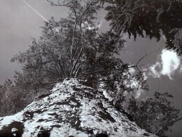 Peter Hriž - Obor (stredné školy, 2. cena)