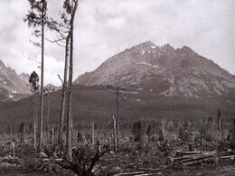 Peter Hriž - Tatry po katastrofe (stredné školy, 2. cena)