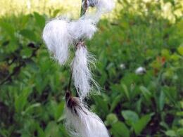 Vladimír Rybár - Celebrita (stredné školy)