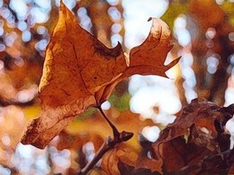 Zuzana Barnová - Javorový list 2 (stredné školy, Uznanie)