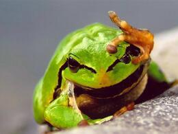 Jakub Šuvada - Poslušne hlásim (stredné školy)