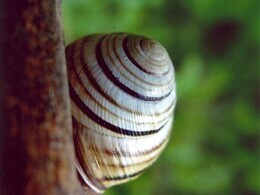 Marián Margeta - Dole hlavou (základné školy, 2. cena)