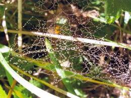 Marián Murgaš - Perlový náhrdelník (stredné školy)