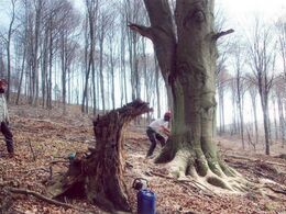 Šimon Jašurka - Koniec kráľa lesa 2 (stredné školy, 3. cena)