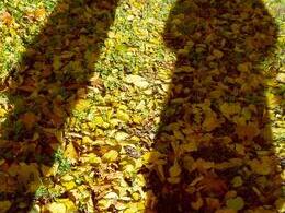 Tomáš Májovský - Marťania (základné školy, 1. cena)