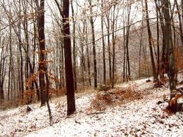 Tomáš Mitana - Zasnežený svah (stredné školy)