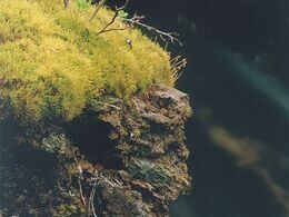 Martina Petrilová - Strážca vôd (stredné školy)