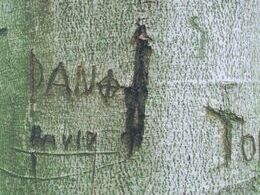 Zuzana Gibová - bez názvu (stredné školy)