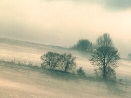 Adam Chudják - Hmlisté ráno (stredné školy, 2. cena)