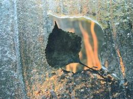 Alex Zgabur - Krásy prírody (základné školy)