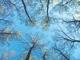 Barbora Kočnerová - Pohľad do neba (stredné školy)