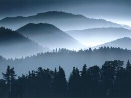 Ivan Malárik - Prebúdzanie (stredné školy, 1. cena)