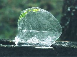 Katarína Riegerová - Zvlečený list  (stredné školy, Uznanie)