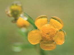 Marián Valovič ml. - Žltý ľad (základné školy)