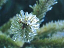 Mario Antonio Liptaj - Nie úplne (základné školy)