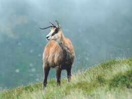 Samuel Michalec - Kde sú ostatní (stredné školy)