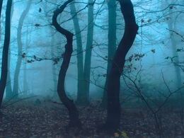 Frederic Bubernik - Rozprávková hmla (základné školy, 2. cena)