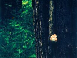 Igor Baloš - Týždenná cesta (stredné školy)