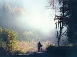 Ľubomír Višňa - Potulky lesom (stredné školy)