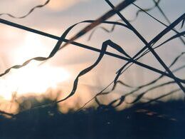 Martina Lizáková - Stromy v inej mierke (stredné školy)