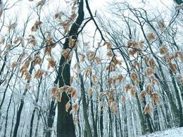 Samuel Škrabálek - Zmrznutá krajina (stredné školy, 3. cena)