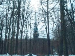 Tomáš Zatroch - Kamzík v lese (základné školy)