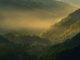Christián Ďuriš - V lone obrov (stredné školy, 1. cena)