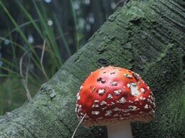 Cynthia Tóthová - Sám a iný (základné školy)