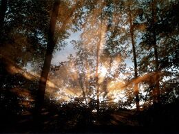 Lukáš Obermajer - Vzplanutie (základné školy)