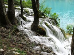 Martin Krajčovič - Cesta vody (základné školy, 3. cena)