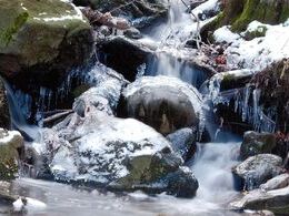 Samuel Guláš - Krása zimnej prírody (základné školy)