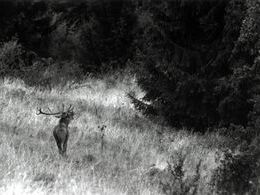 Tomáš Kmeť - Poď von! (stredné školy)